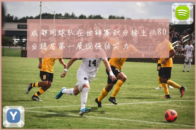 成都网球队在世锦赛积分榜上以80分稳居第一展现强劲实力